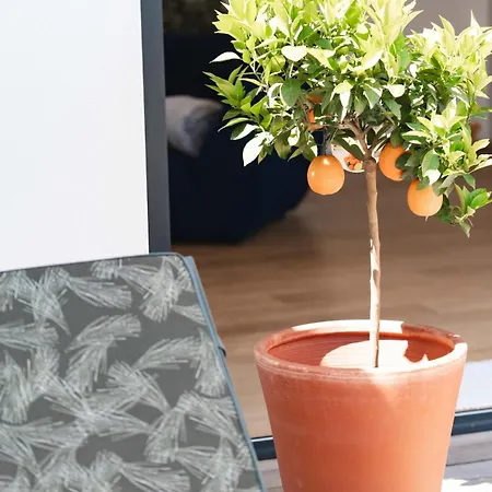 6p Lisiere De Foret Piscine Barbecue