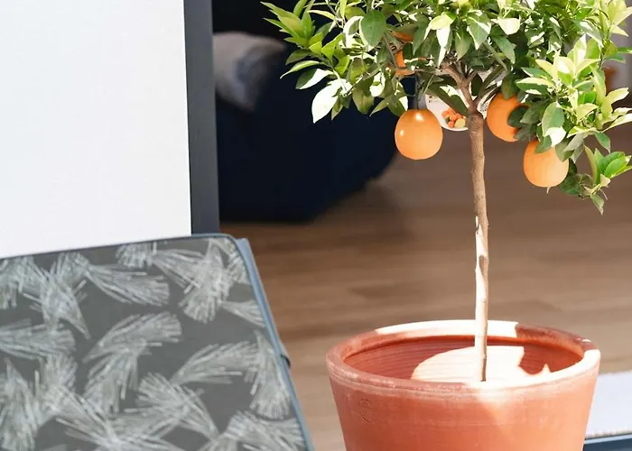 6p Lisiere De Foret Piscine Barbecue