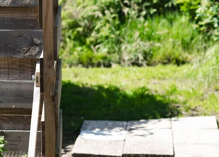 6p Lisiere De Foret Piscine Barbecue * Seignosse